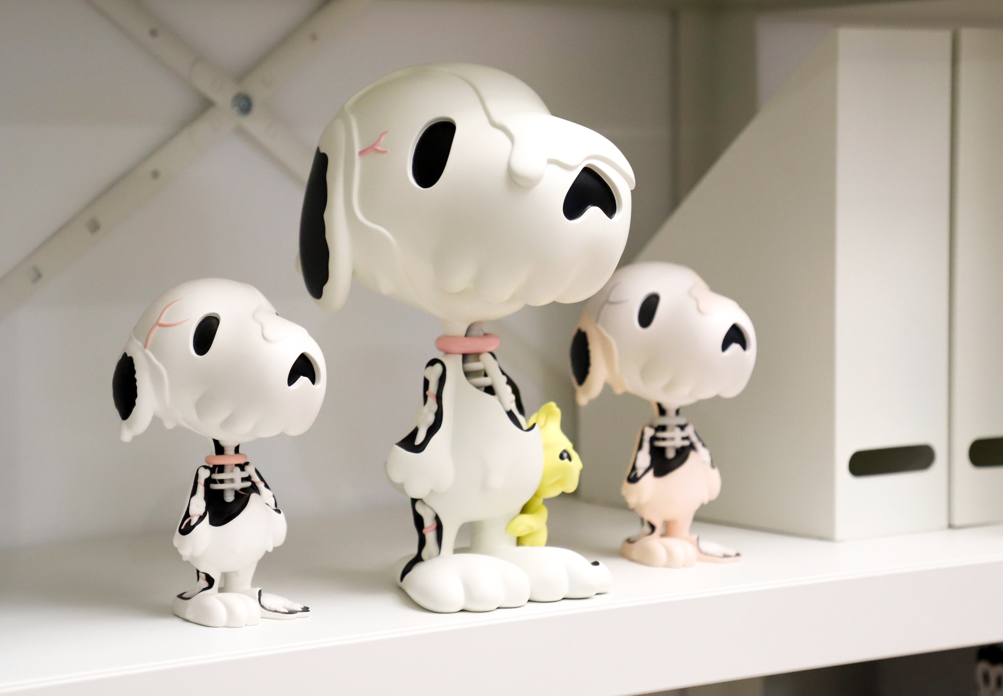 WhatsApp Image 2025-01-11 at 01.42.05 (2)