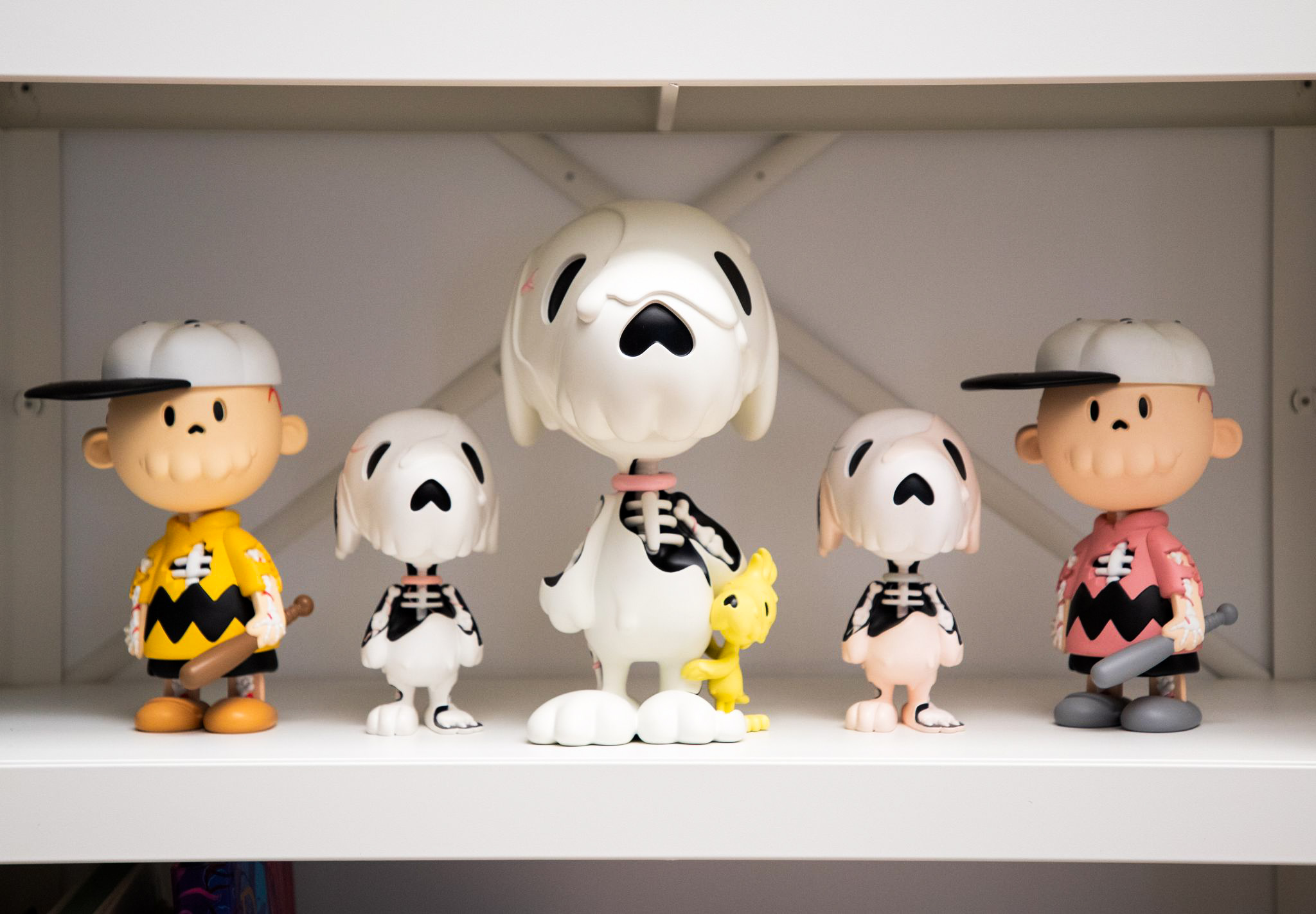 WhatsApp Image 2025-01-11 at 01.42.05